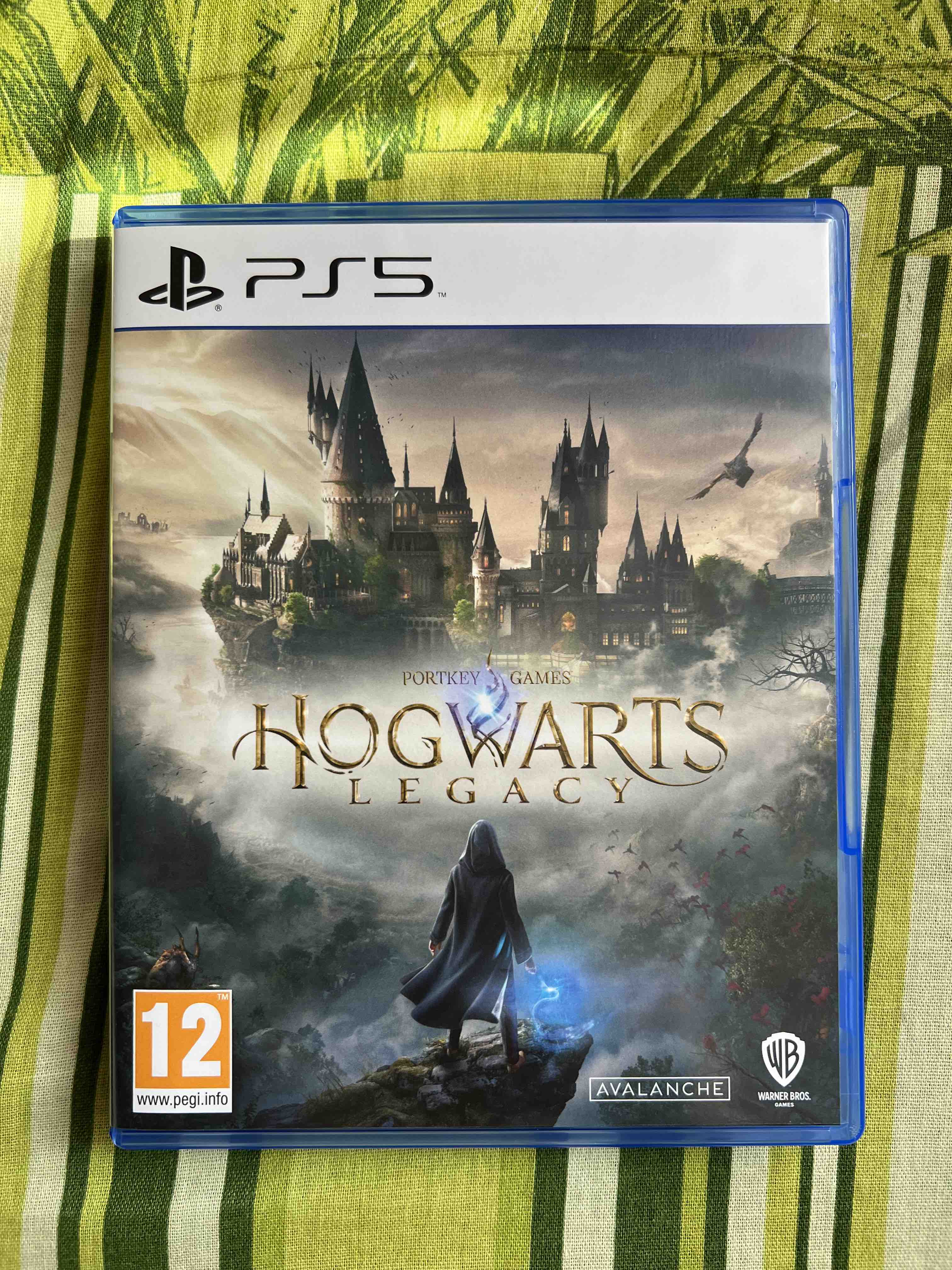 Игра Hogwarts Legacy для PlayStation 5 - купить в Москве, цены на  Мегамаркет | 100048327349