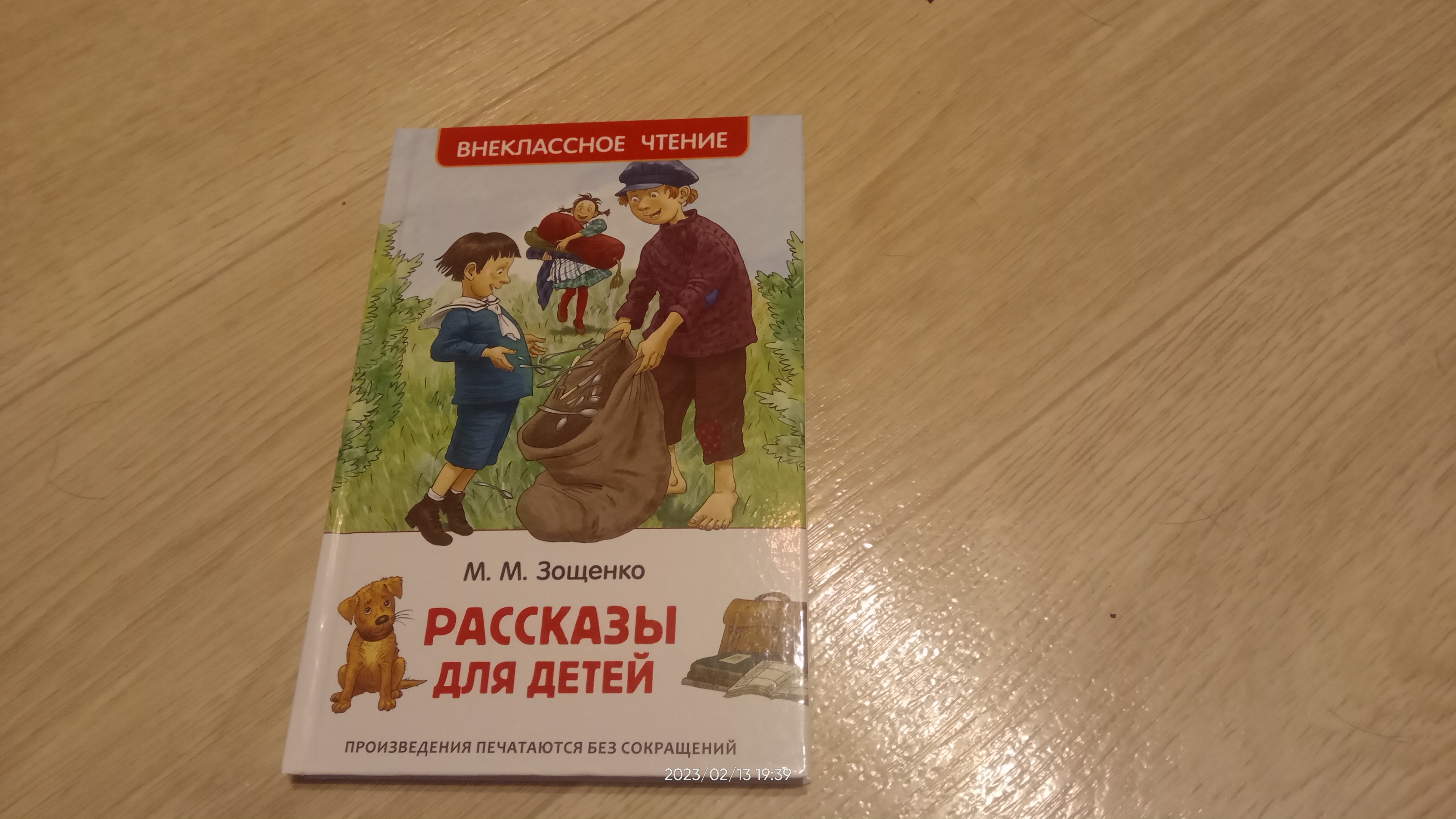 Отзыв на рассказ галоша зощенко 5 класс. Рассказ зощенко галоша. Отзыв на рассказ галоша зощенко 5 класс. Название галоши и мороженого. Рассказ галоша.