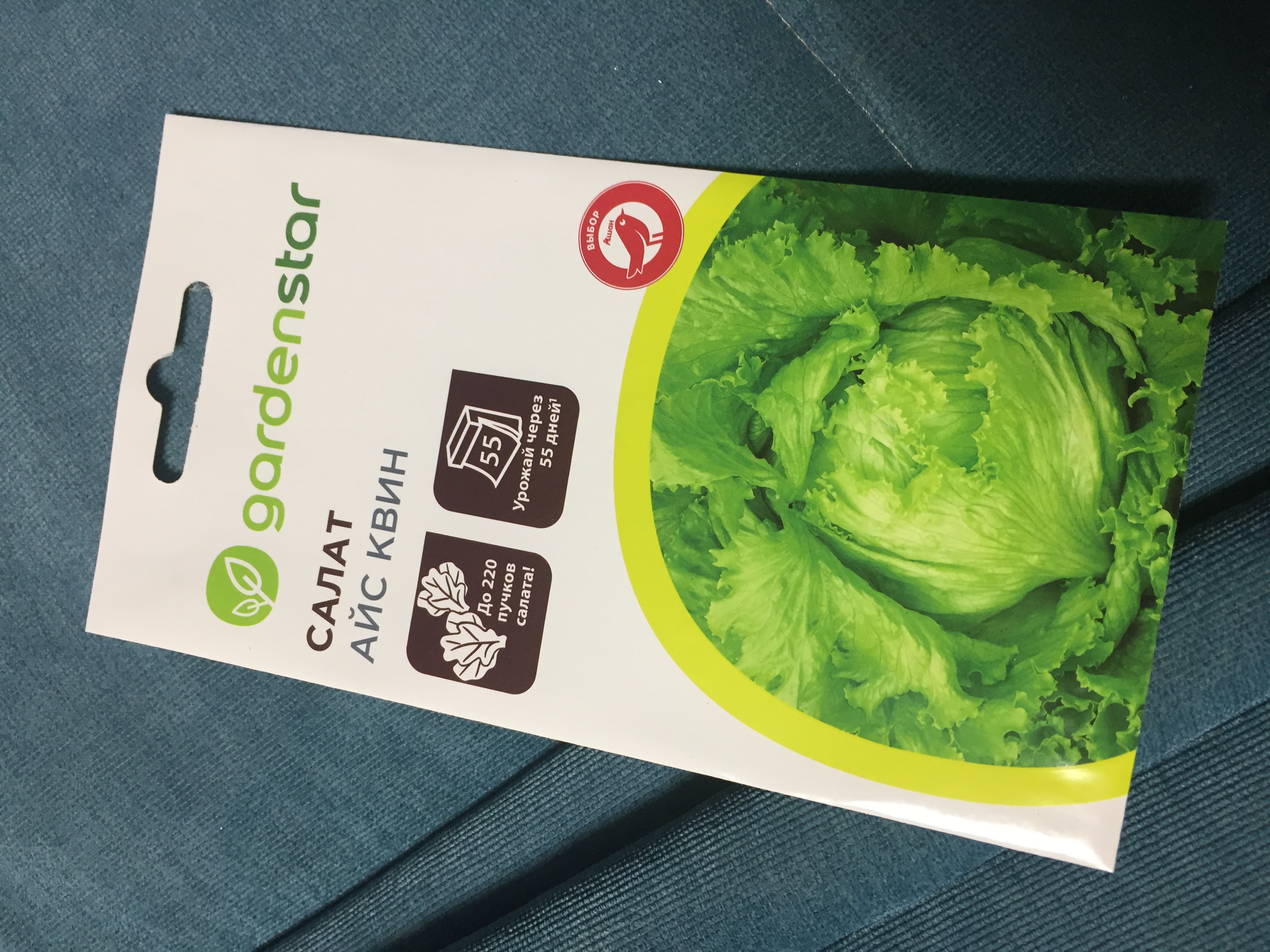 Салат, которого вы еще не пробовали: выбираем сорта листовых и кочанных салатов