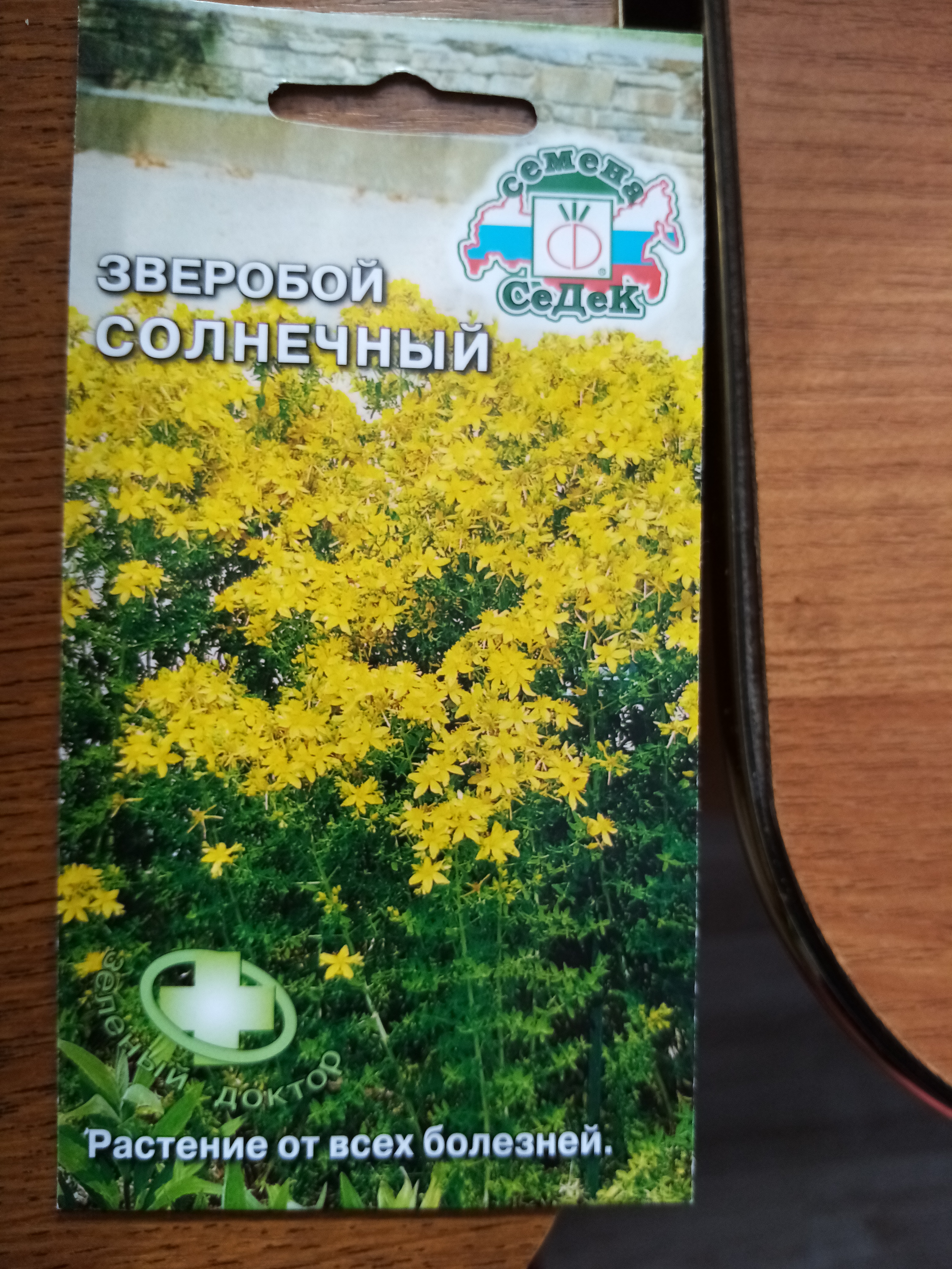 Зверобой большой. Семена зверобой солнечный седек. Семена зверобой оптимист. Семена зверобоя. Семена зверобоя.