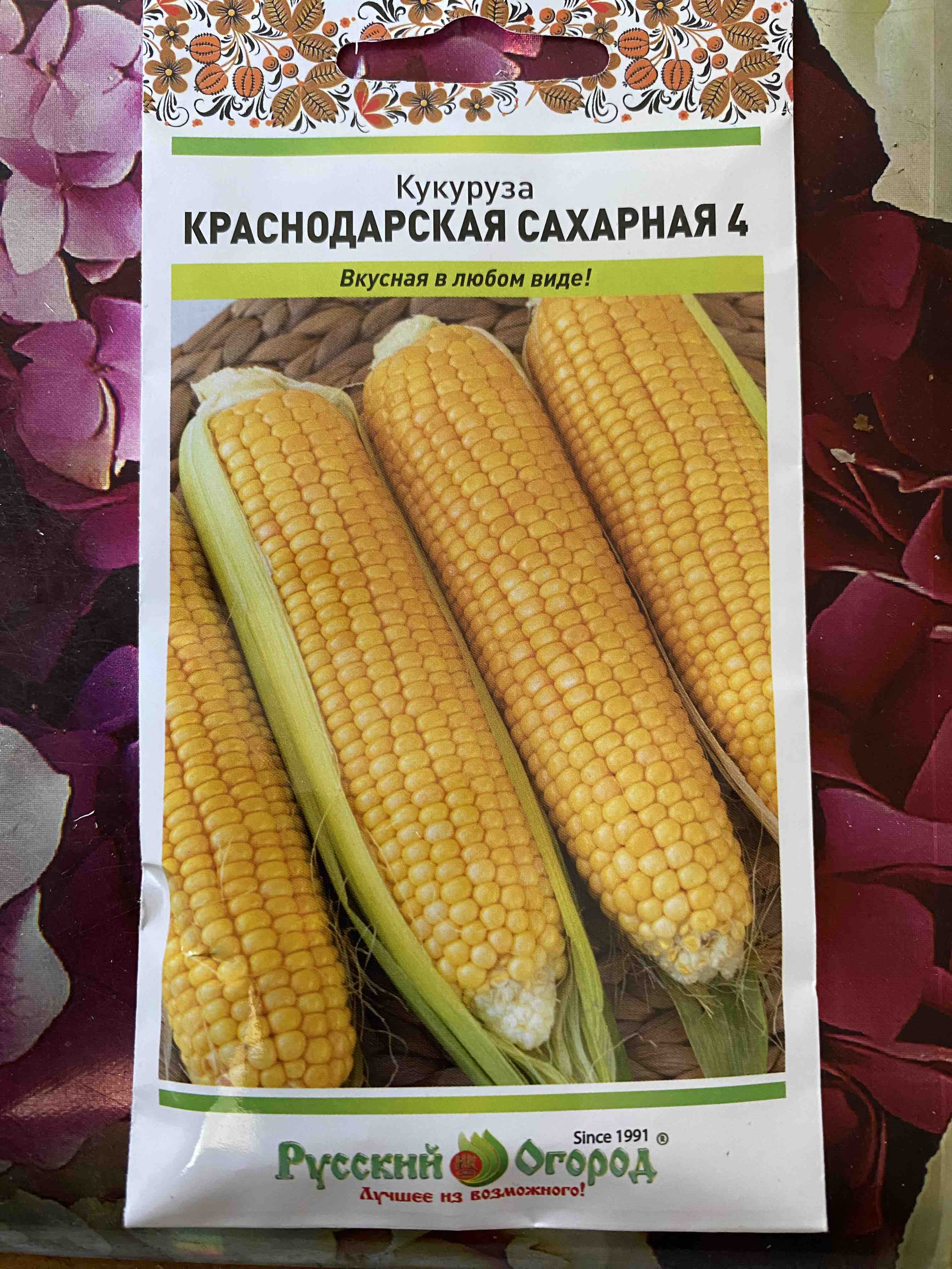 Кукуруза ДКС 3151: описание сорта, характеристики, особенности посадки и выращивания, отзывы