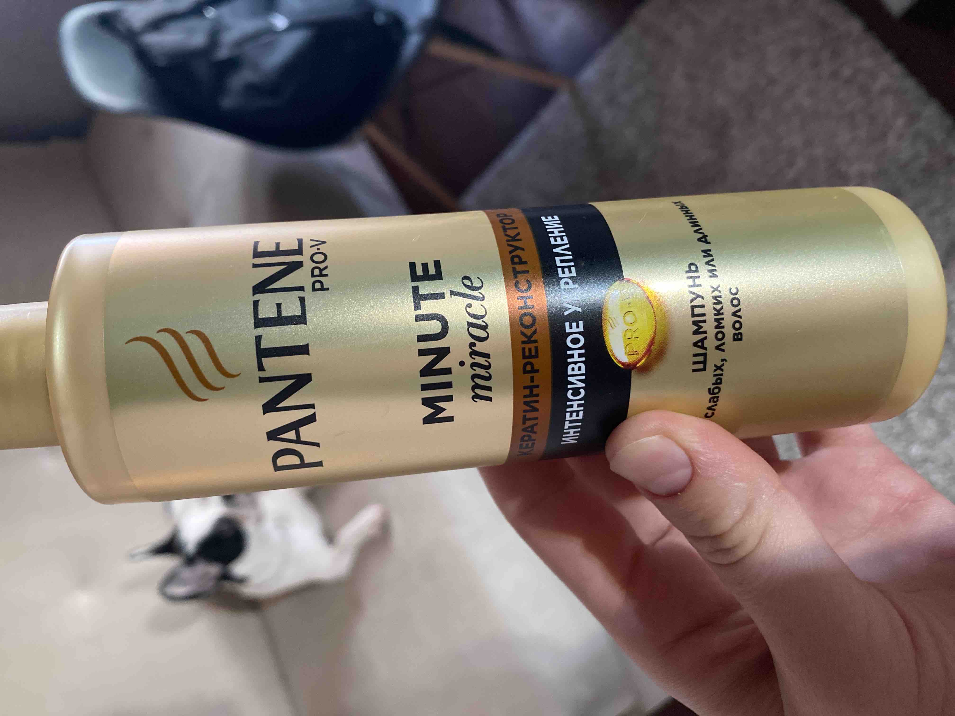 Pantene minute. Пантин шампунь без сульфатов. Pantene без сульфатов. Шампунь Пантин в прозрачной бутылке. Шампунь Пантин новый флакон.