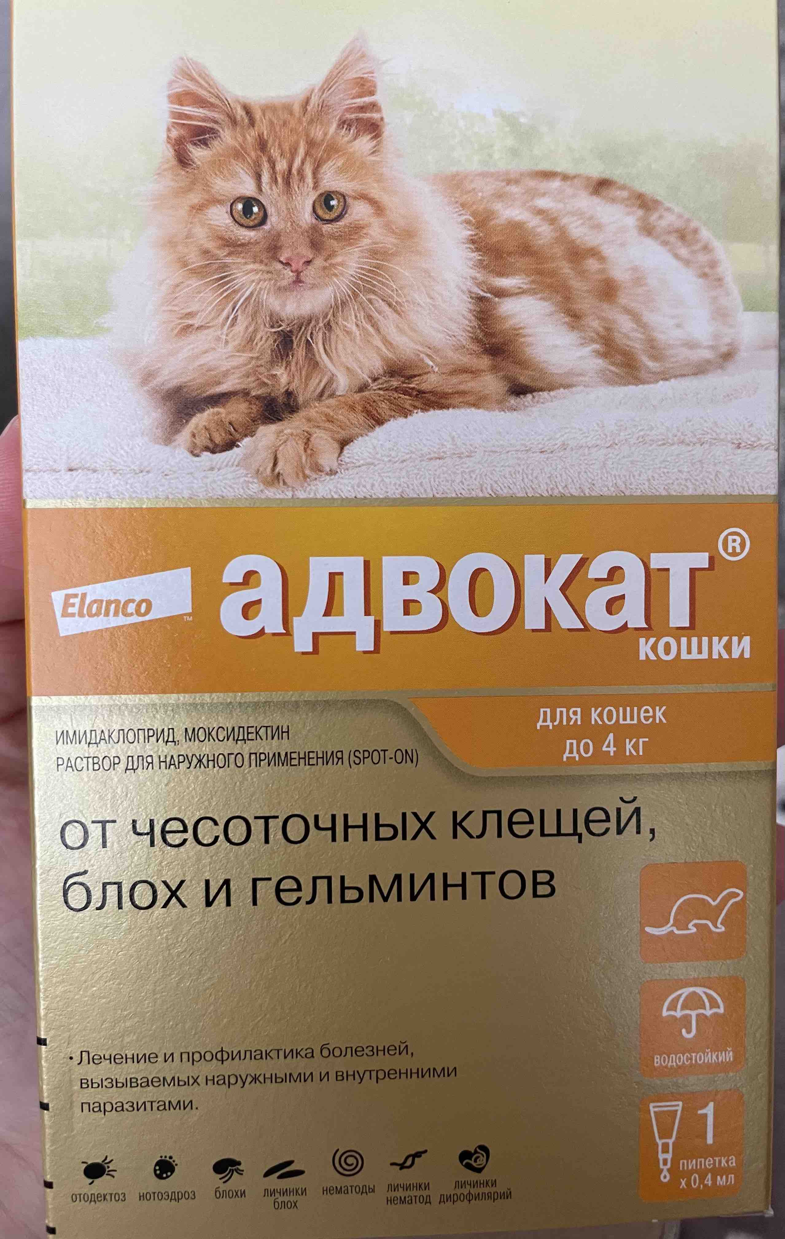 Капли для кошек против клещей и блох Elanco Адвокат, вес до 4 кг, 0,4 мл -  купить в Динозаврик сеть зоомагазинов, цена на Мегамаркет