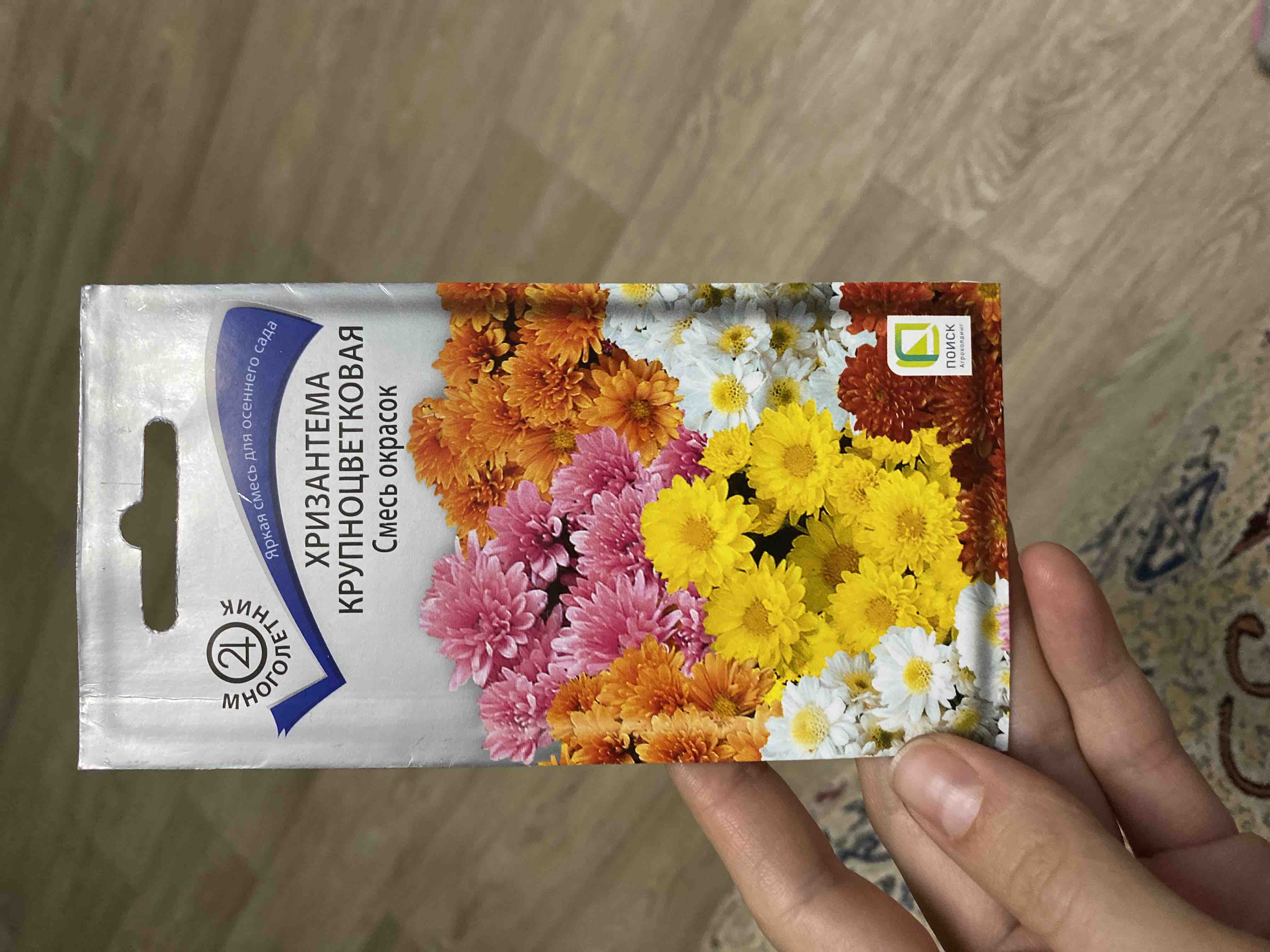 Как добиться пышного цветения хризантем: секреты профессионалов | В цветнике (garant-artem.ru)