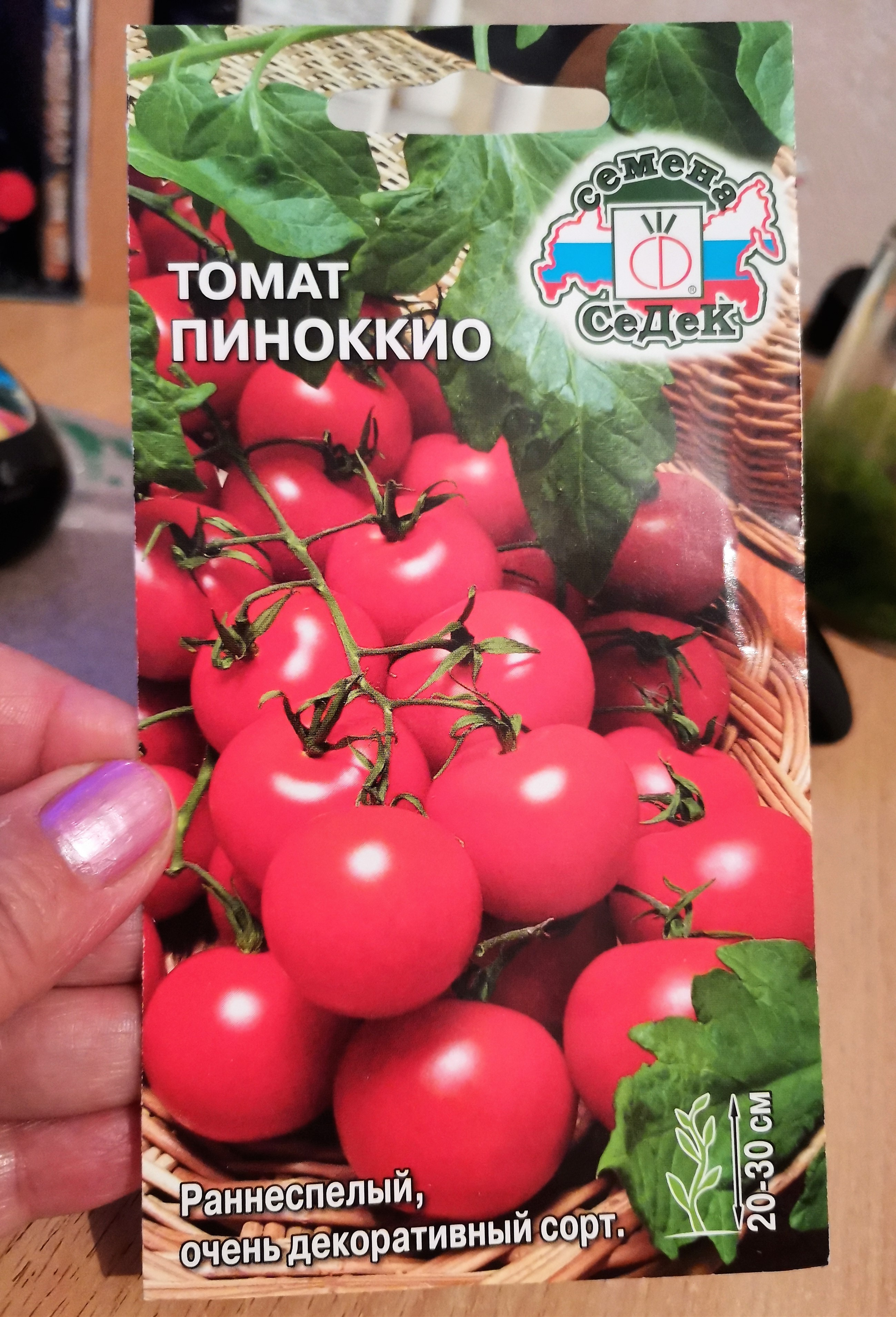 Яркие бусы на кустах — миниатюрный томат «Пиноккио»: выращиваем на участке и дома на балконе