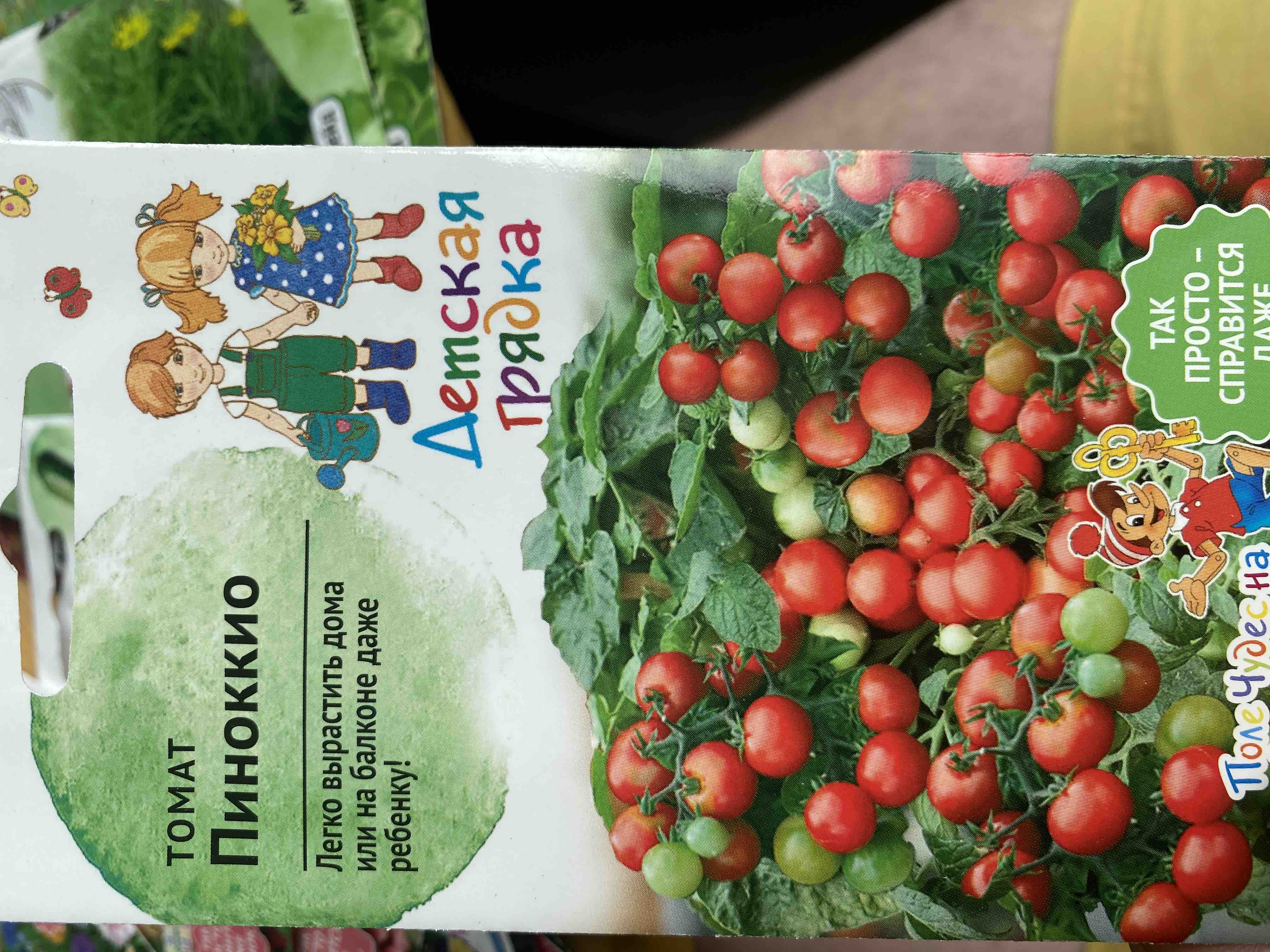 Помидоры пиноккио описание. Сорт помидор Пиноккио. Помидоры черри Пиноккио. Томат Буратино. Томат Пиноккио отзывы.