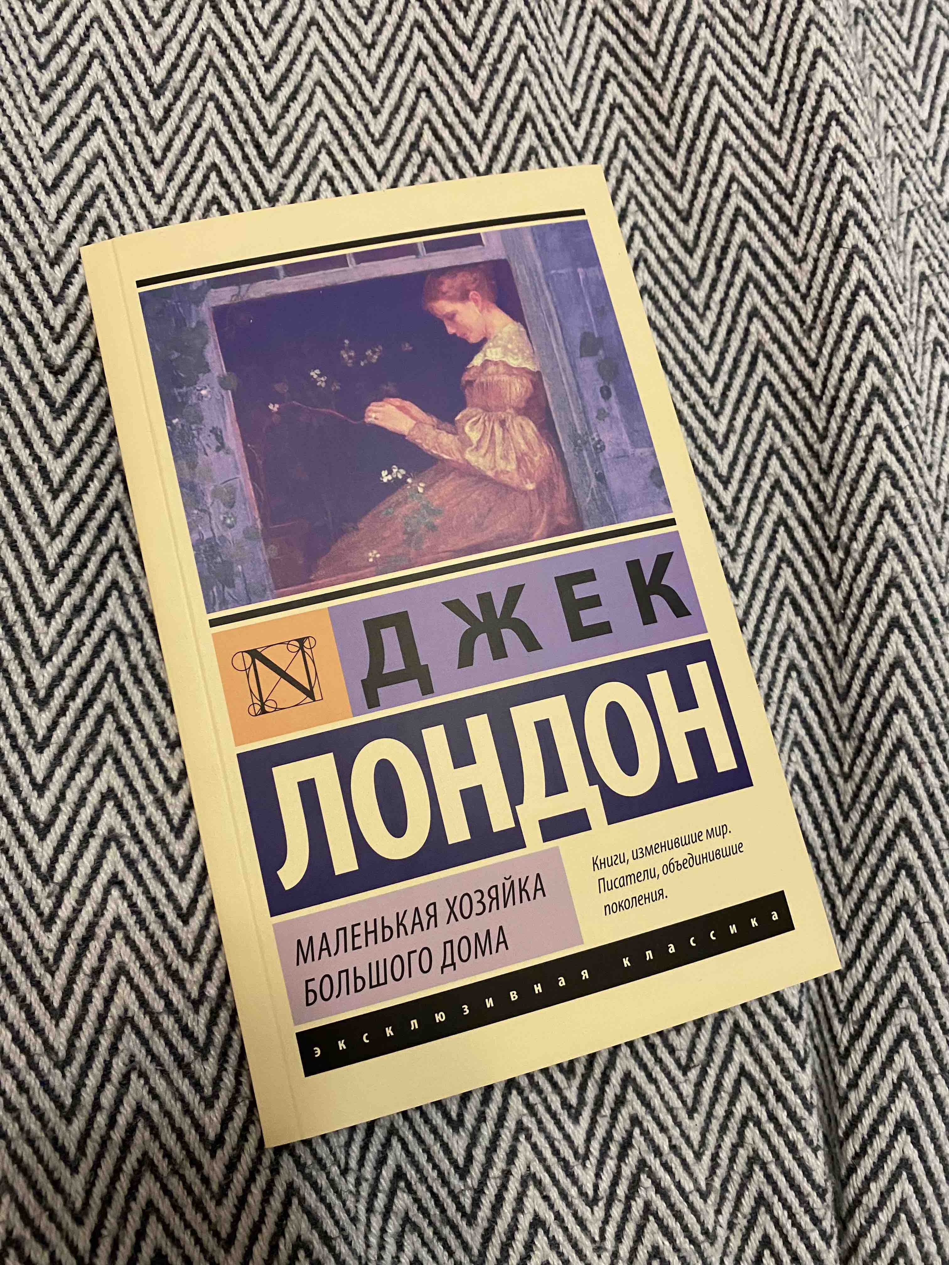 Книга Маленькая Хозяйка Большого Дома - отзывы покупателей на маркетплейсе  Мегамаркет | Артикул: 100023083235