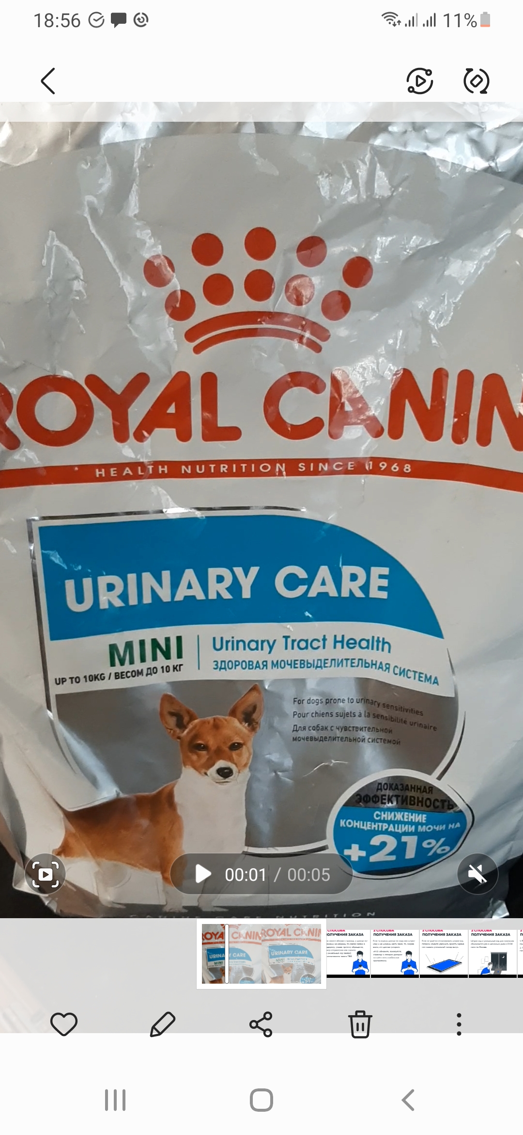 Urinary care для собак. Royal Canin Mini Urinary Care. Роял Канин мини Уринари. Mini Urinary Care (мини Уринари Кэа).