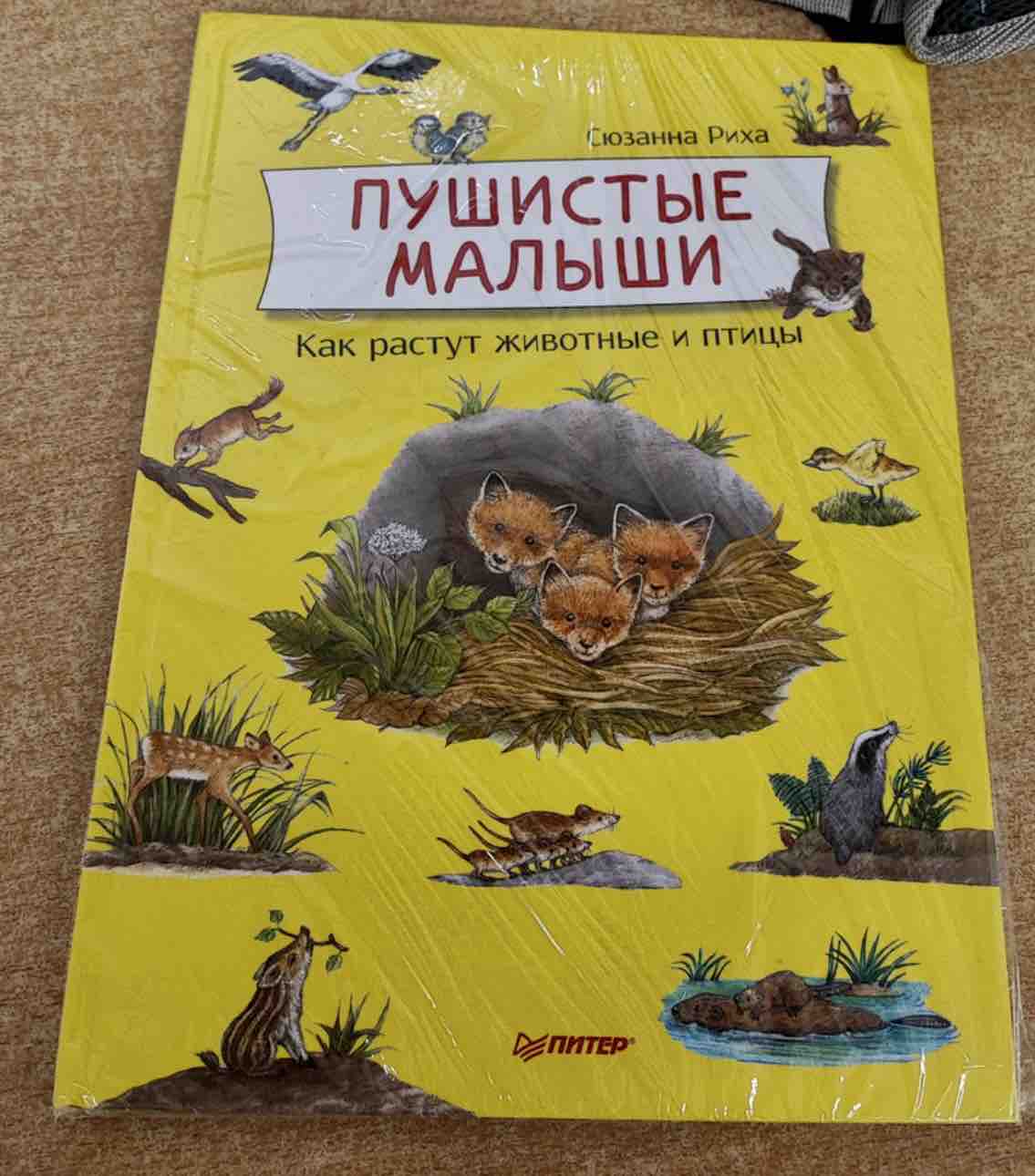 Бобёр Боря-следопыт! Кто прячется в лесу? Книжка подготовишки - купить  развивающие книги для детей в интернет-магазинах, цены на Мегамаркет |  К29948