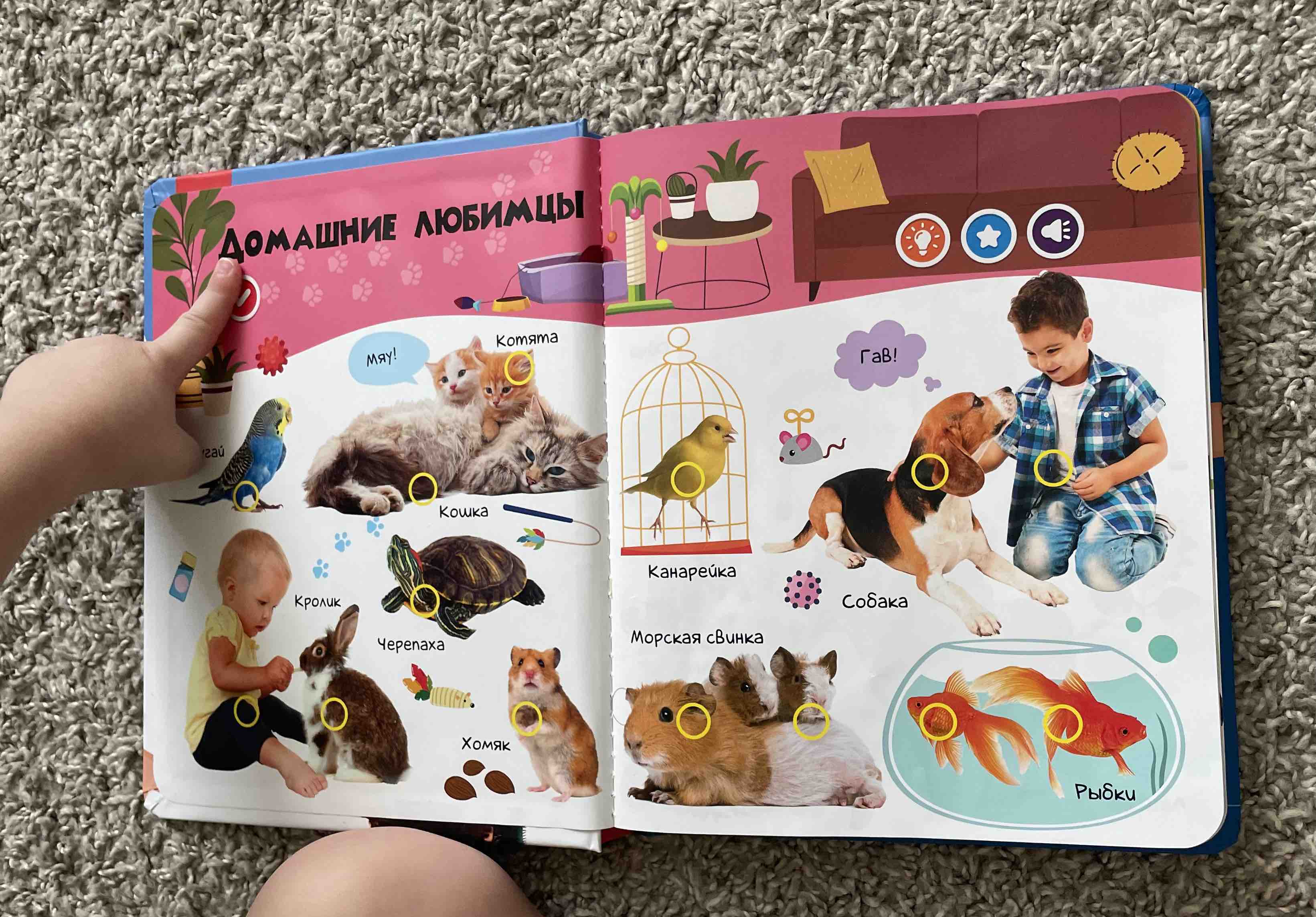 Отзывы о говорящая книга BertToys нажималка Животные - отзывы покупателей  на Мегамаркет | развивающие книжки FD140 - 600005794220