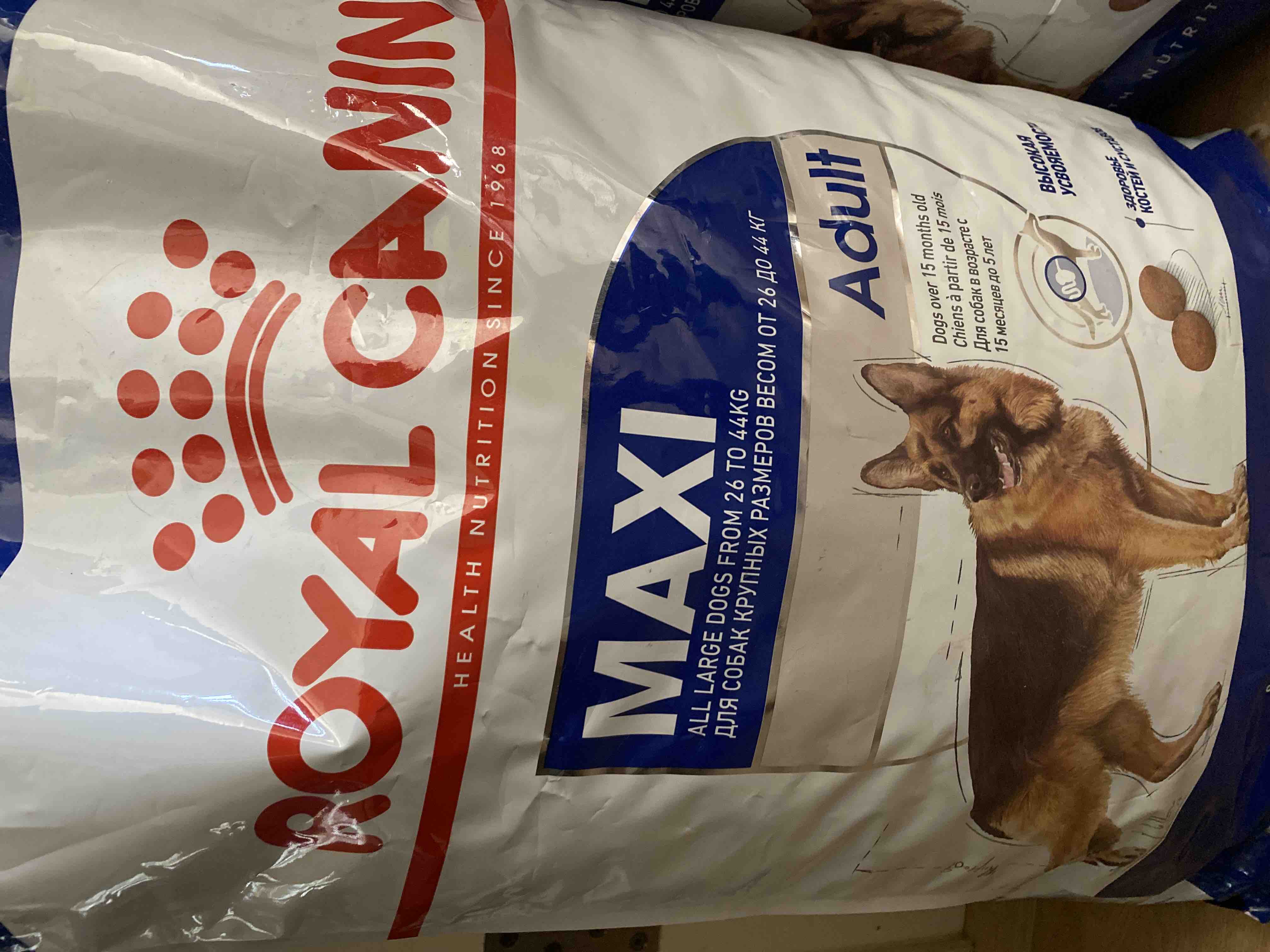 Royal canin hot sale maxi adult