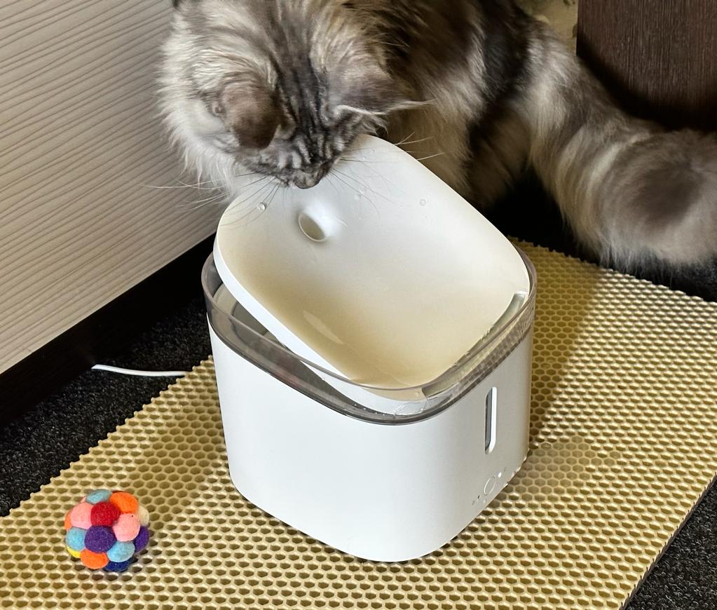 Автопоилка для животных Xiaomi Petoneer Smart Pet Water Dispenser  XWWF01MG(CN), белый, 2 л - отзывы покупателей на маркетплейсе Мегамаркет |  Артикул товара:600004002398