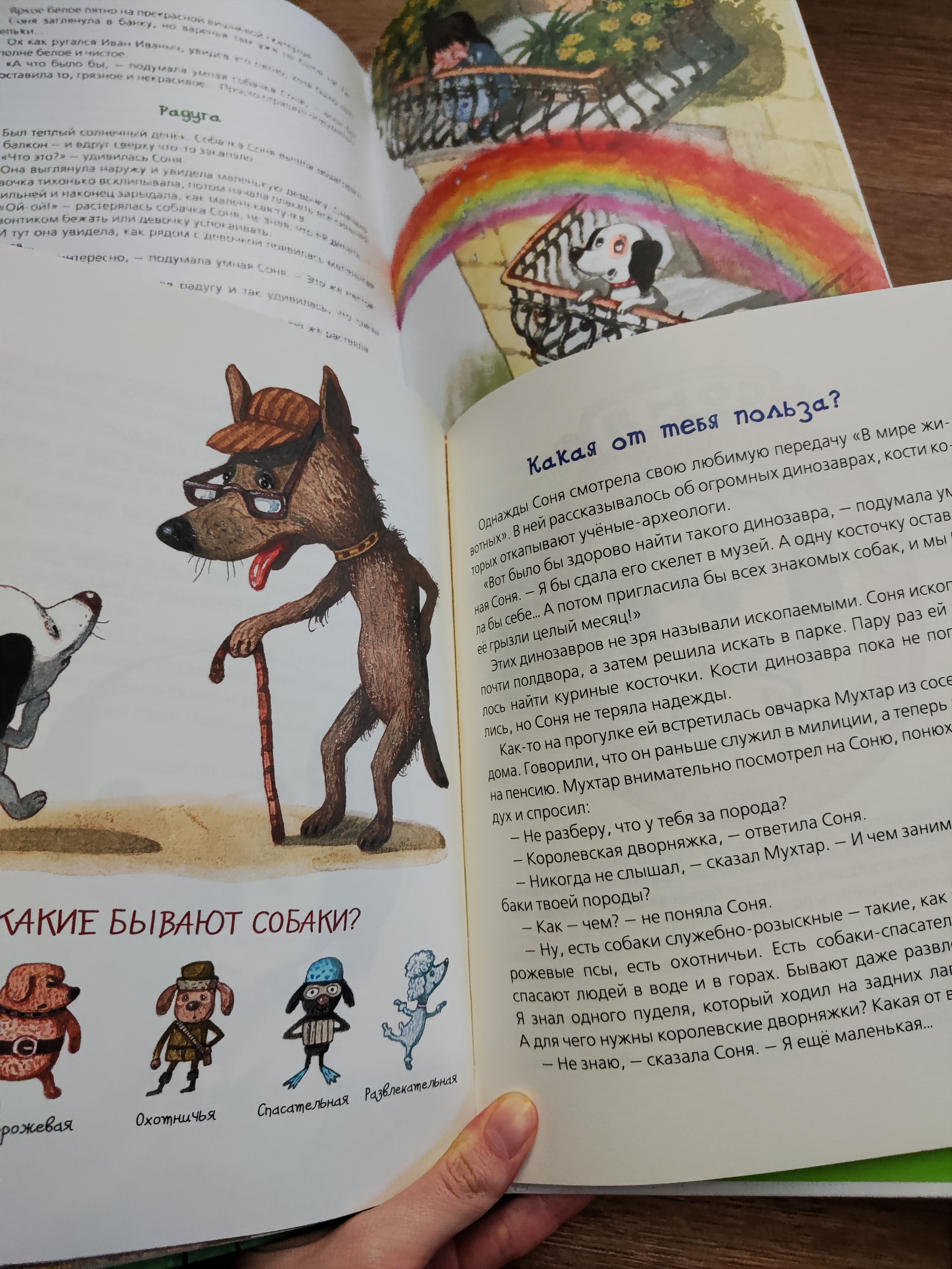 Знаменитая Собачка Соня Купить Книгу