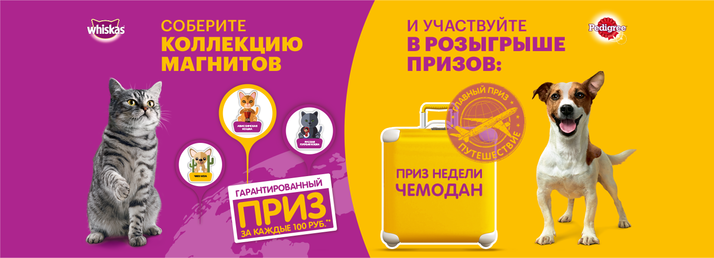 Qr код розыгрыш призов