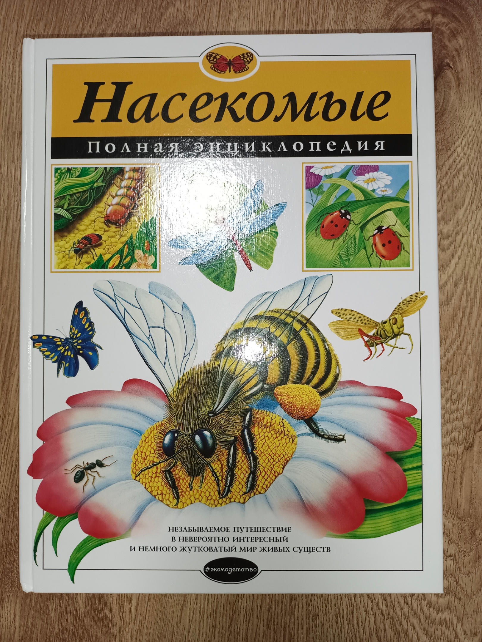 Насекомые. полная Энциклопедия - купить детской энциклопедии в  интернет-магазинах, цены на Мегамаркет | 187295