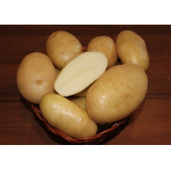 Особенности хранения картофеля